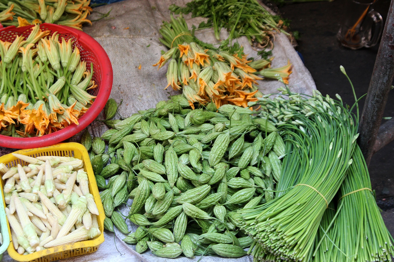 San lung dac san rau rung gia cao o Sai Gon hinh anh