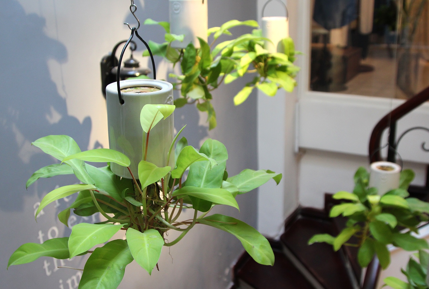 Cay up nguoc gia binh dan khien nguoi Sai Gon me man hinh anh