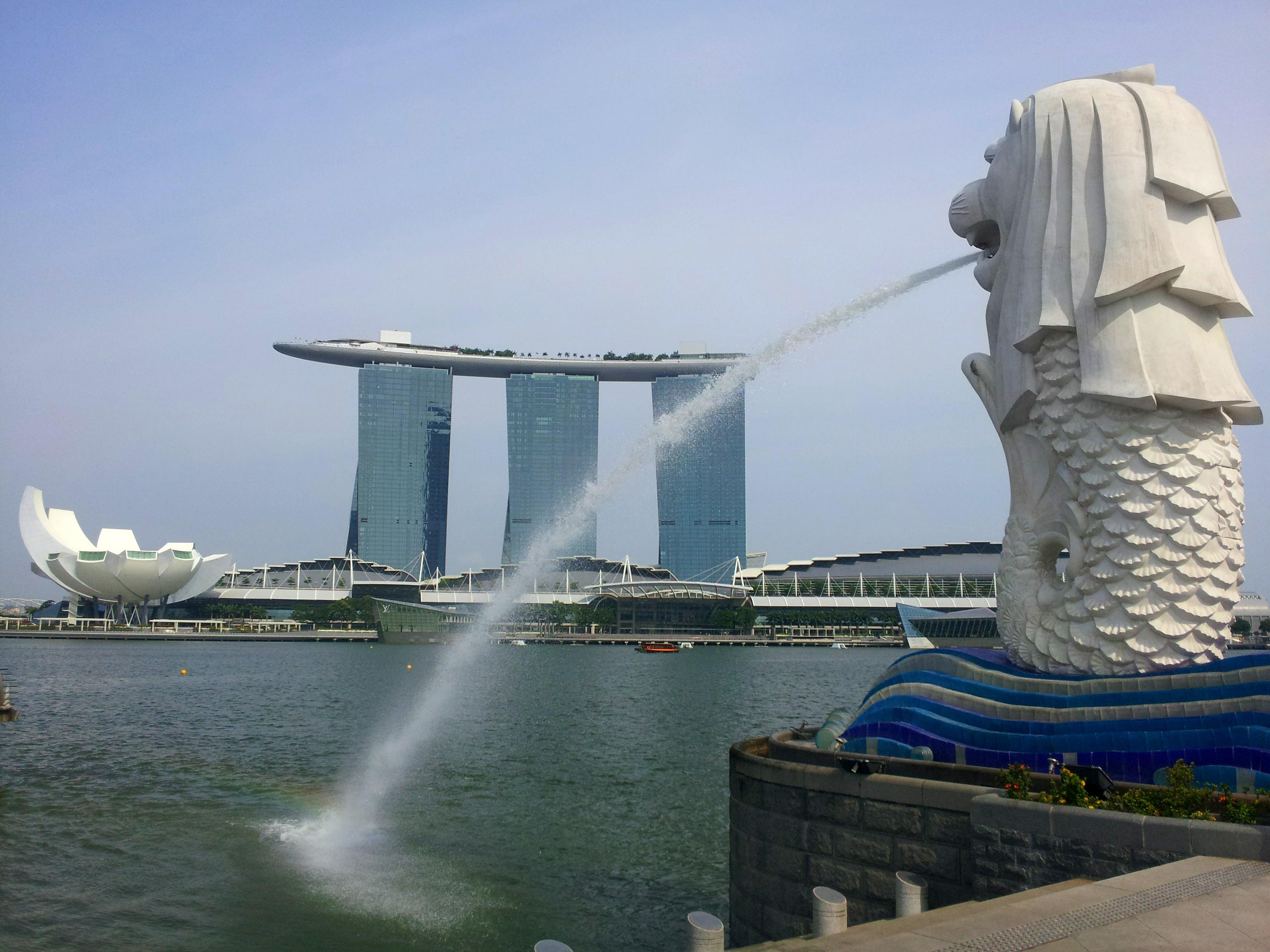 Hang loat dich vu moi tieu chuan Singapore trien khai tai VN hinh anh