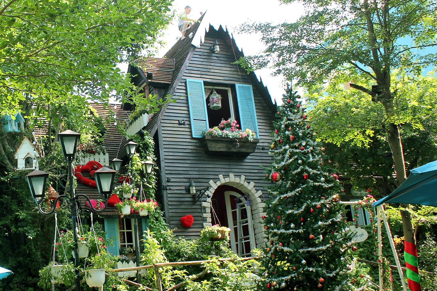 Keo khach voi nhung ngoi nha phu kin cay xanh giua Sai Gon hinh anh