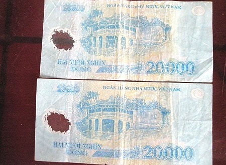 NHNN se nghien cuu de co cai tien tien polymer hinh anh