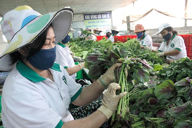 Khong lo gia thuc pham tang vot hinh anh