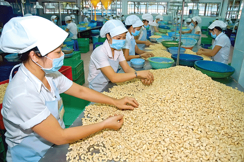 Vi sao chau Phi them muon cong nghe dieu Viet Nam? hinh anh