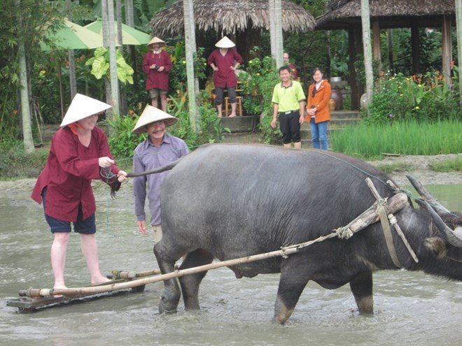 Nong dan Quang Nam day khach Tay keo cay, lam ruong hinh anh