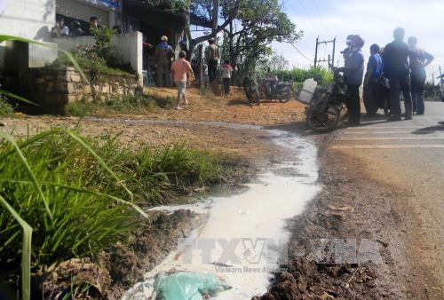 Doanh nghiep gioi han thu mua sua, ho nuoi bo buc xuc hinh anh