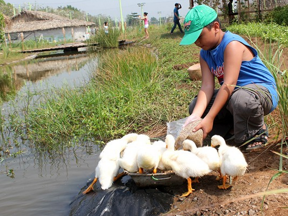 650.000 dong/thang hoc lam nong dan o Sai Gon hinh anh