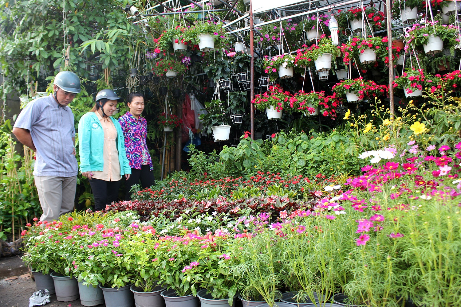 Truoc Tet 1 thang, nguoi Sai Gon da lo mua hoa kieng hinh anh
