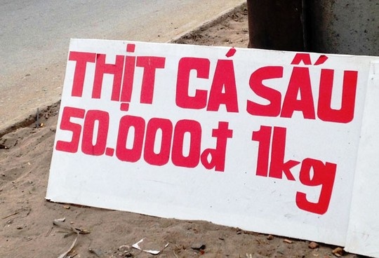 Tran lan thit ca sau le duong hinh anh