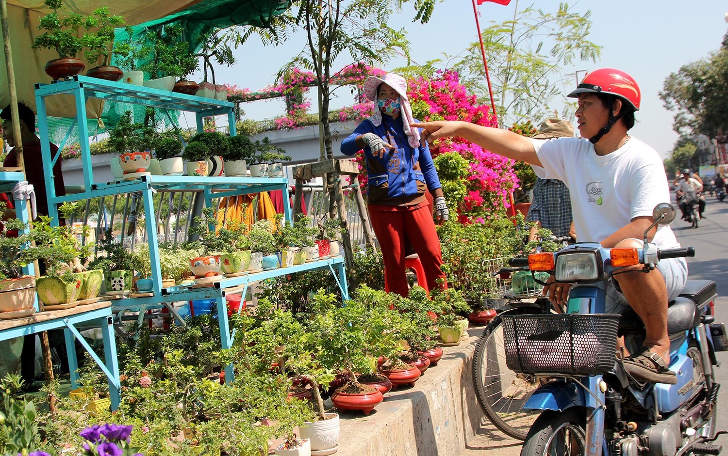 Hoa Tet do bo ve pho Sai Gon hinh anh