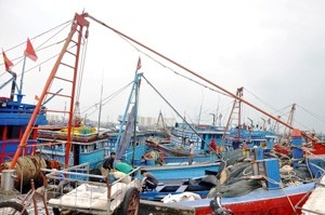 Ngu dan thu loi nho gia xang dau giam hinh anh