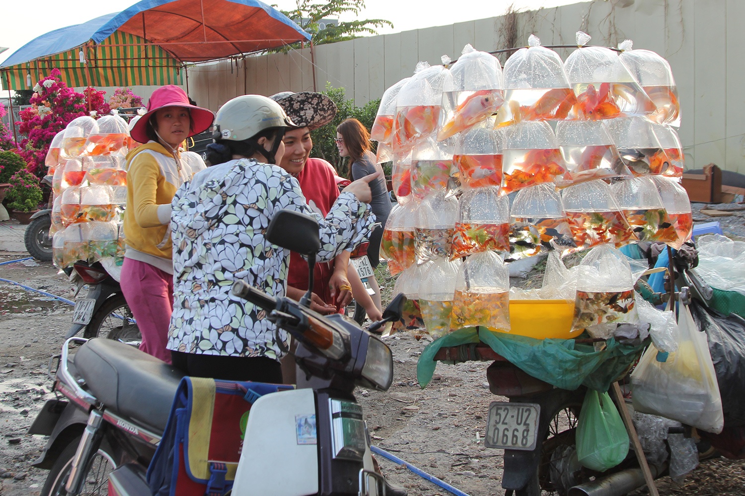 Nguoi dan TP HCM tien Tao quan voi mam le binh dan hinh anh
