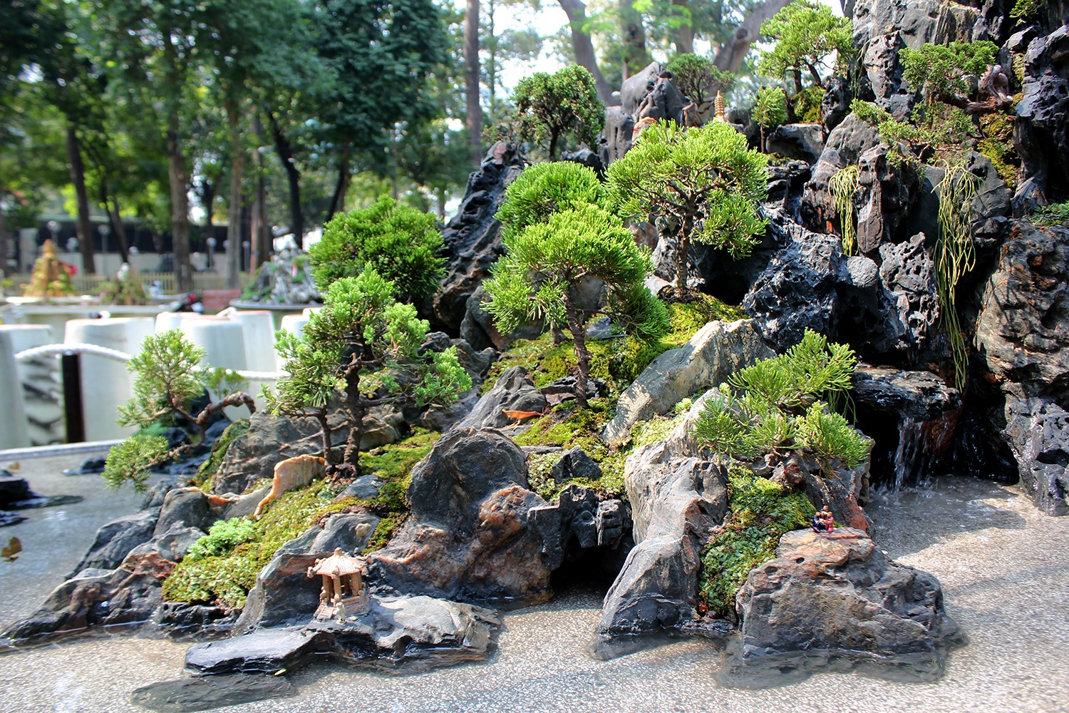 Non bo nang 4,5 tan o Hoi hoa hoa xuan TP HCM hinh anh