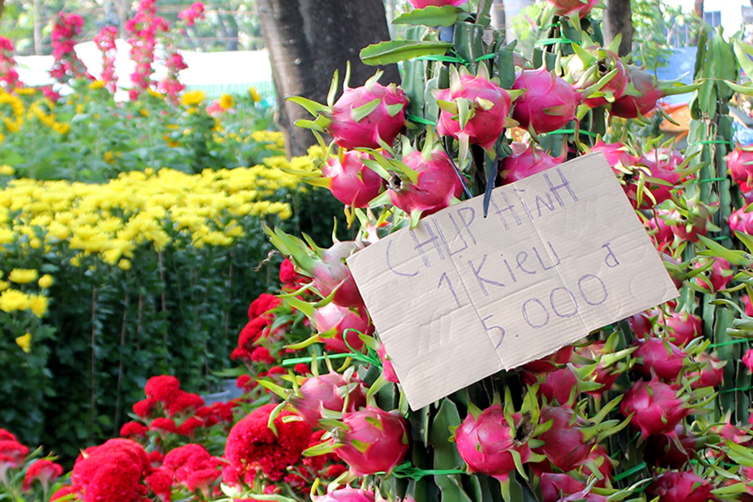 Cho hoa vang khach, diem ban treo bang thu phi chup hinh hinh anh