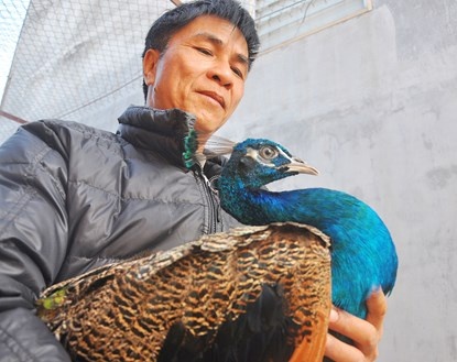 Luyen cong mua, lai 300 trieu moi nam hinh anh