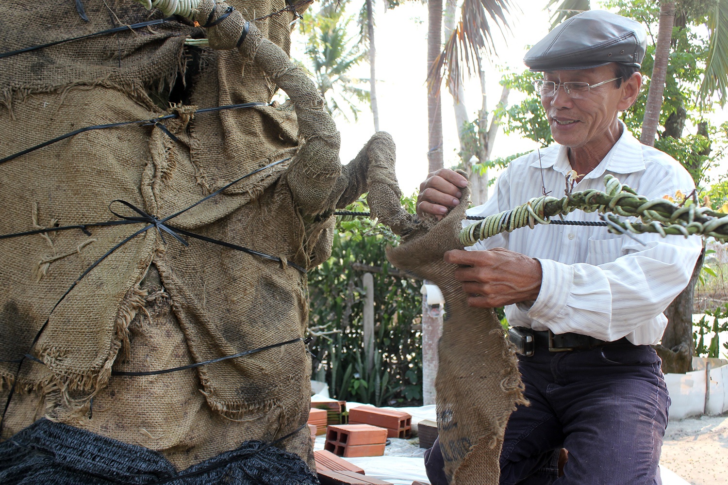 Vuon kieng doc cua chu nhan cap khe 7 ty dong hinh anh