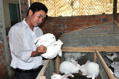 Ban linh nhung ong chu 8X hinh anh