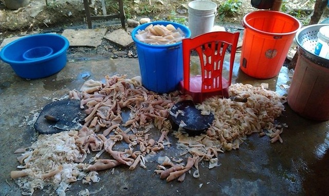 Nhung canh che bien thuc pham ban tren nen nha hinh anh