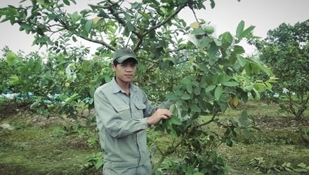 Ty phu oi 4 mua dat Bac hinh anh