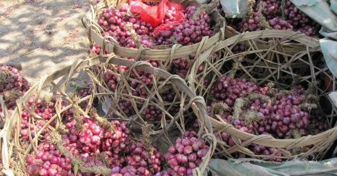 Bo Cong Thuong ra cong van hoa toc cuu hanh tim Soc Trang hinh anh