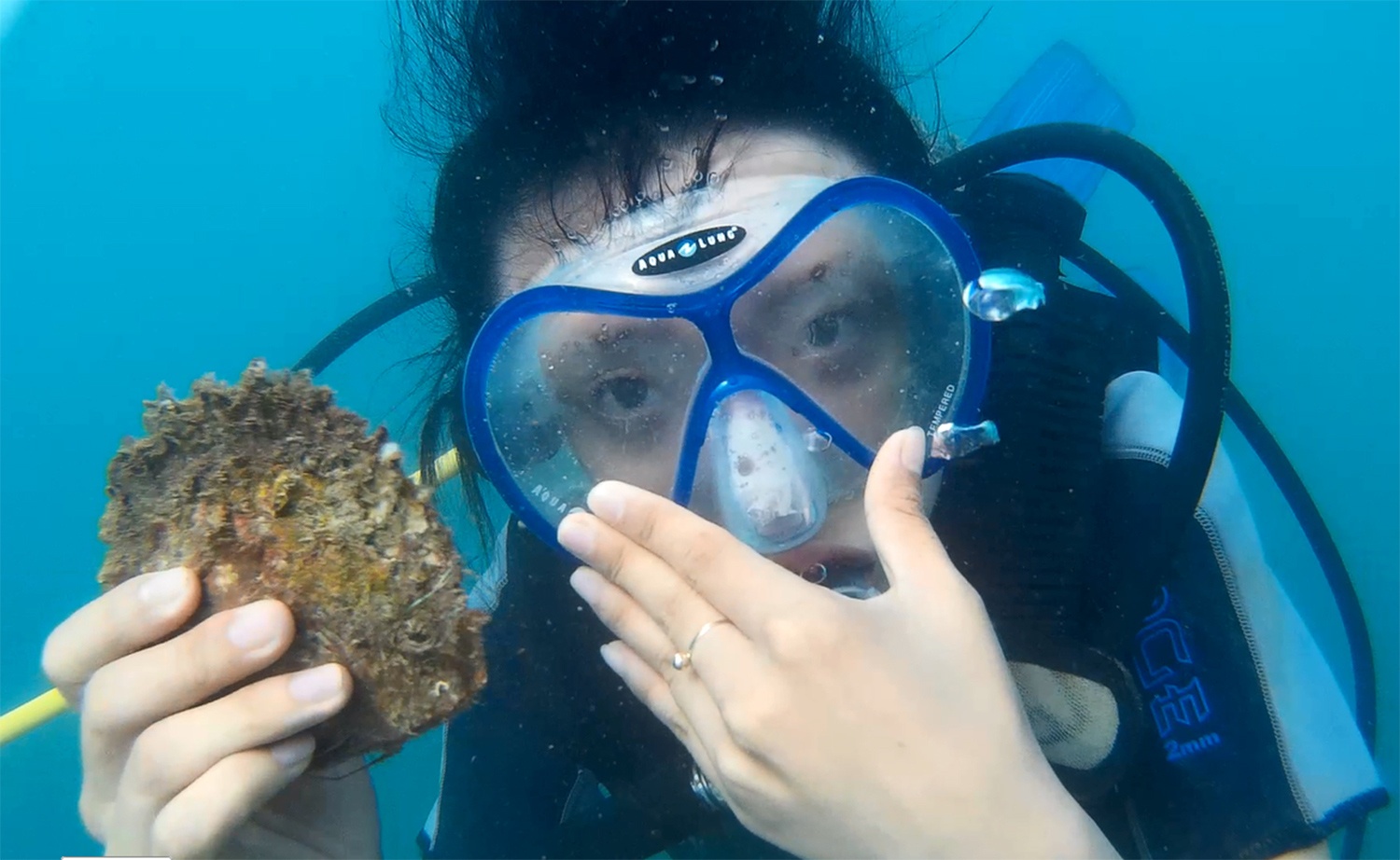 Lan bien bat ngoc trai o Nha Trang hinh anh