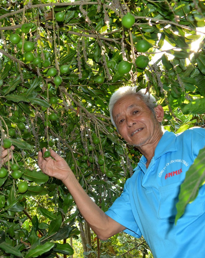 Khuyen cao khong mo rong dien tich cay mac ca hinh anh