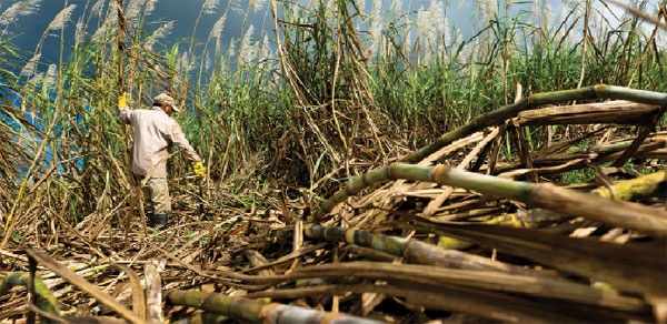 Hoang Anh Gia Lai: Bao gio den ngay thai lai? hinh anh