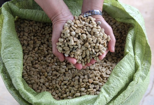 Om lo vi tru ca phe cho len gia hinh anh