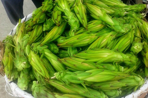 Thu gom nong san la thuong: Chieu tro gi cua thuong lai? hinh anh