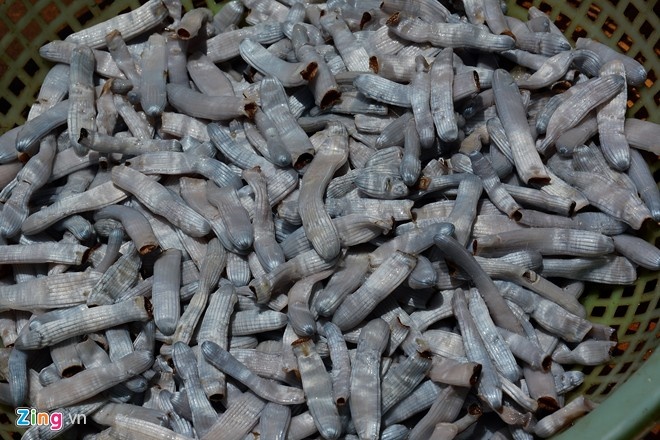 Tai dien nan dao dia sam ban cho thuong lai Trung Quoc hinh anh