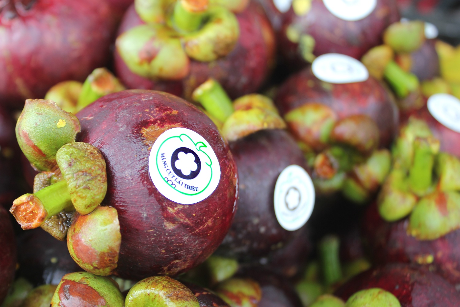 Mang cut Lai Thieu tram tuoi gia 20.000 dong/kg hinh anh