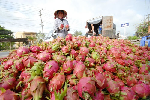 Ban hang qua Trung Quoc bang Internet hinh anh