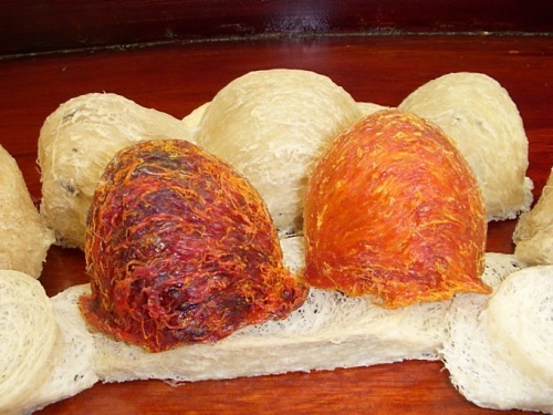 Kinh hoang cong nghe doi mau yen trang thanh yen huyet hinh anh