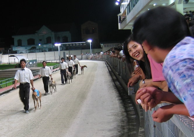 Ca cuoc, danh bac: Nen lam the nao? hinh anh