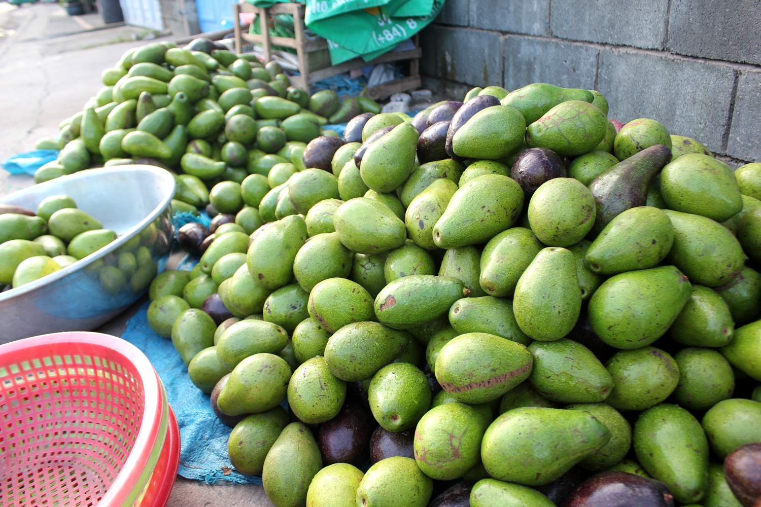 Bo sap 20.000 dong/kg ban tran pho Sai Gon hinh anh