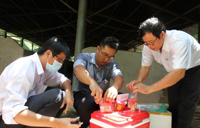 Truy noi ban nguyen lieu san xuat chat cam cho heo hinh anh