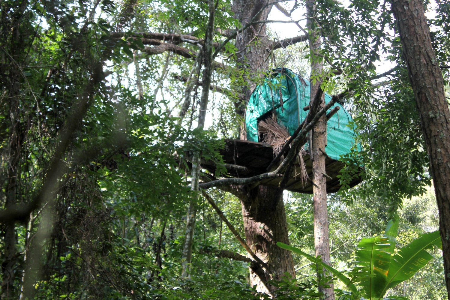 Nhung kieu dau tu khach san doc dao o Da Lat hinh anh