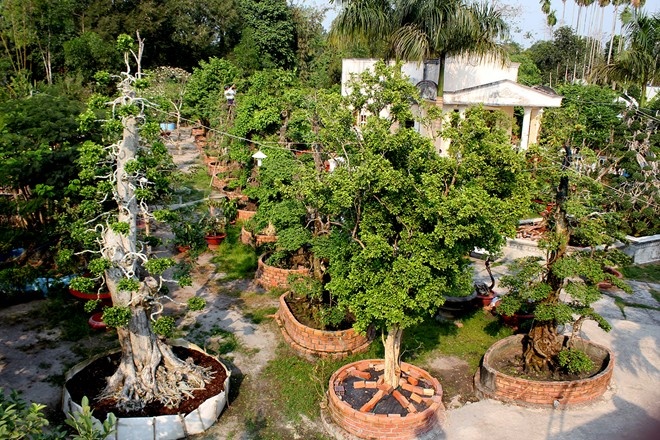 Vuon kieng rao ban 170 ty dong la gia ao? hinh anh