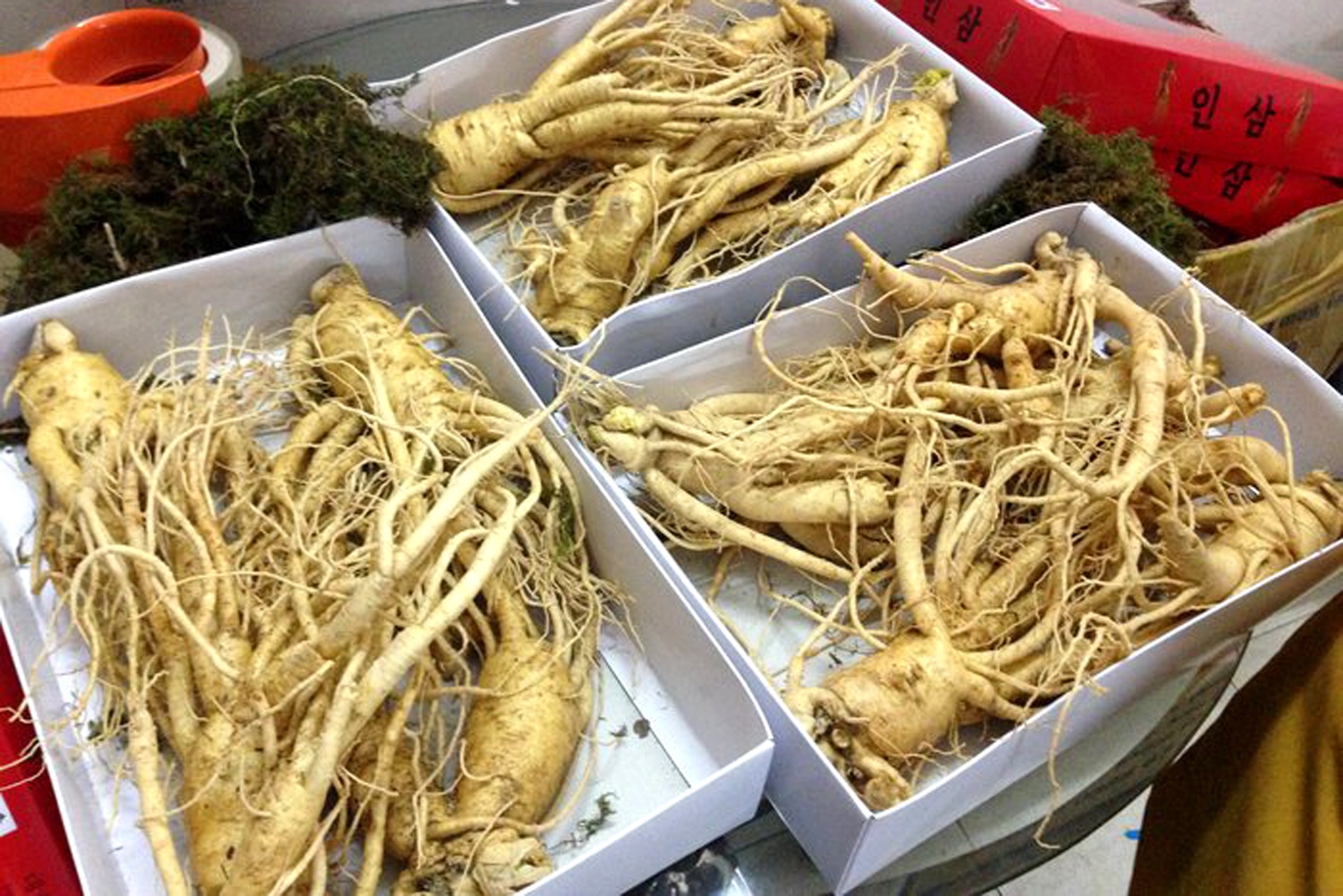 Nhan sam Han Quoc gia sieu re ban o Sai Gon hinh anh