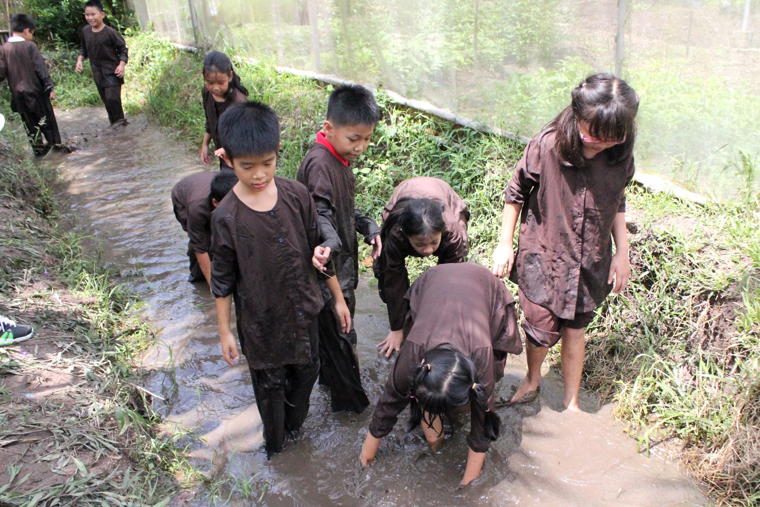 Bat ca, vat sua bo phai tra phi o TP HCM hinh anh