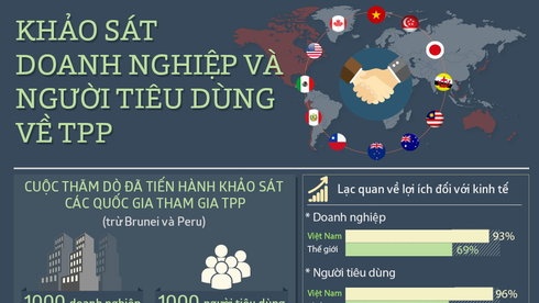 Nguoi Viet Nam lac quan nhat ve TPP hinh anh