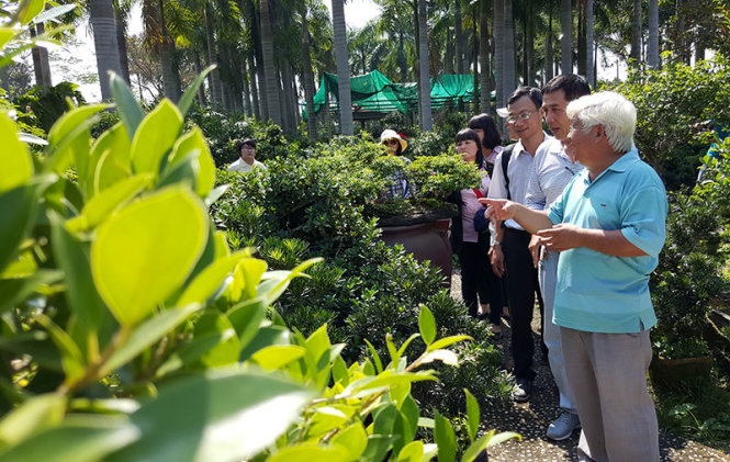 Mua ve tham vuon nhung khong ai tiep hinh anh