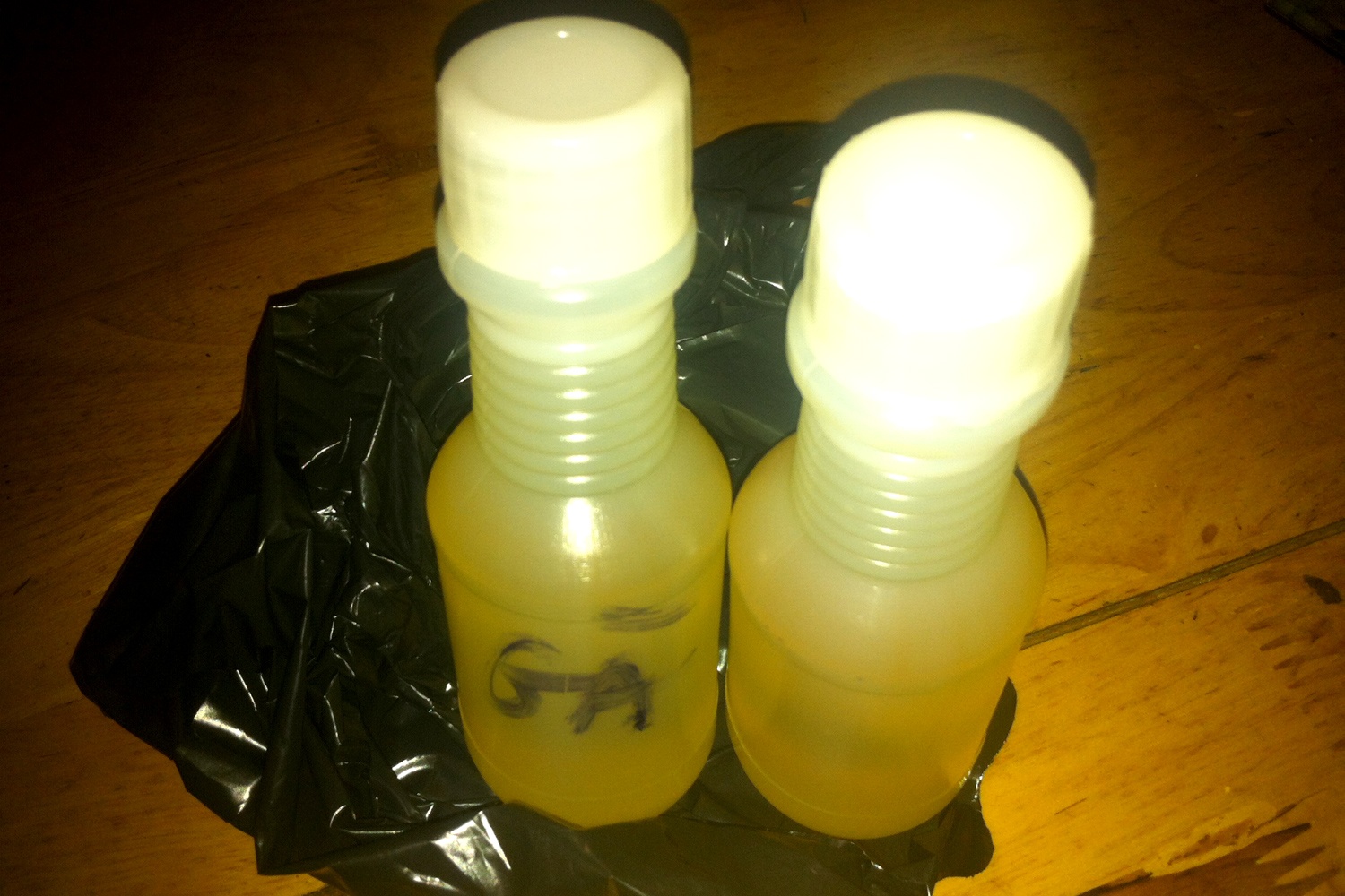 Huong lieu giup mon chay an giong ga, ca o Sai Gon hinh anh