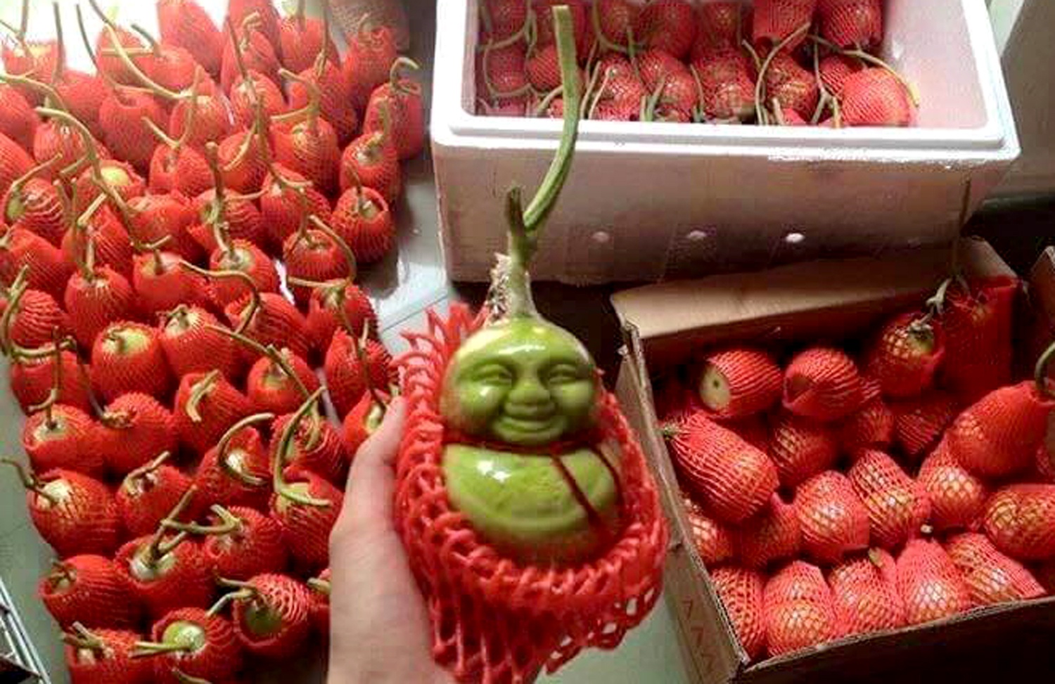 Dua than tai Trung Quoc gia re do bo Sai Gon hinh anh