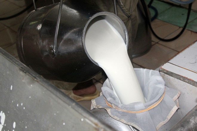 Nong dan Cu Chi vua mung vua lo cho tin tu Vinamilk hinh anh