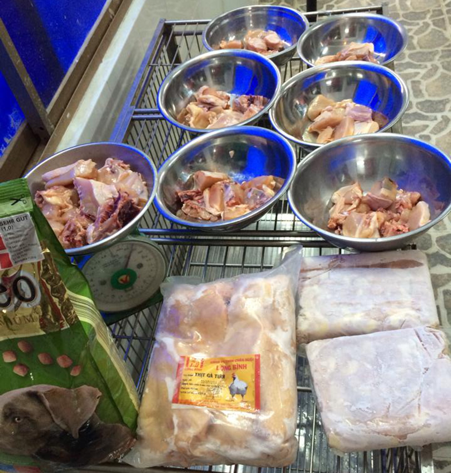 Thuần chủng siêu khuyển nghìn đô ảnh 2 Thuan chung sieu khuyen nghin do anh 2