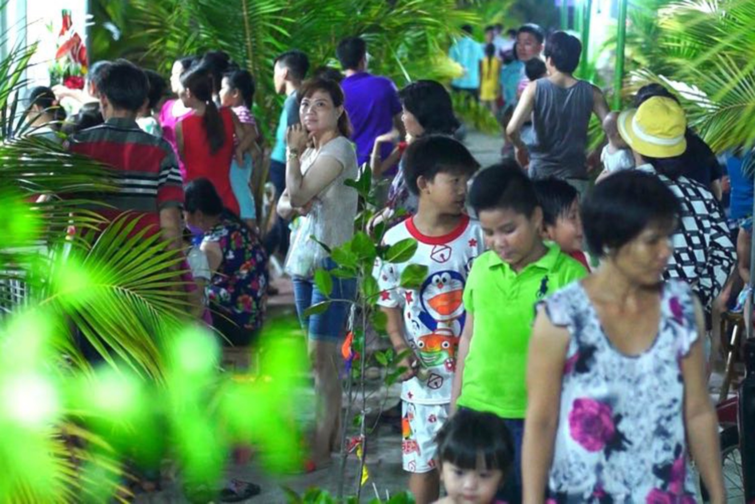 Dich vu mua trai cay sach tai vuon o Sai Gon hinh anh