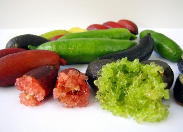 Mat tien vi trong cay trai la o Sai Gon hinh anh