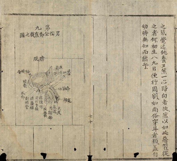 Nam nữ giao hợp phụ luận ảnh 2 Nam nu giao hop phu luan anh 2