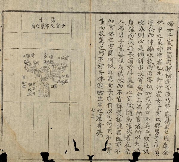 Nam nữ giao hợp phụ luận ảnh 3 Nam nu giao hop phu luan anh 3