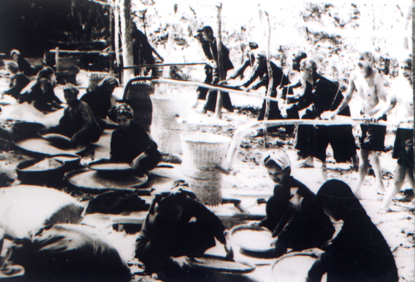 Khang chien chong My anh 8